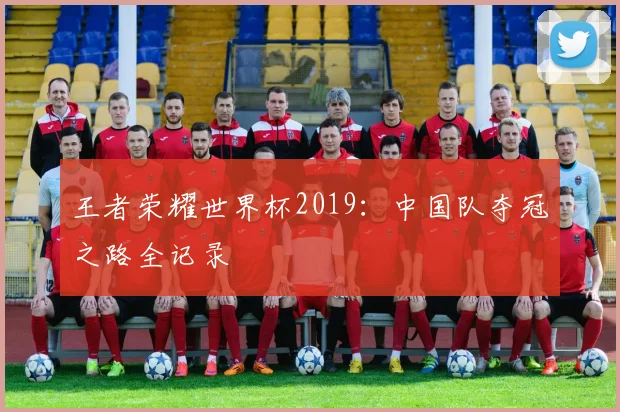 王者荣耀世界杯2019：中国队夺冠之路全记录