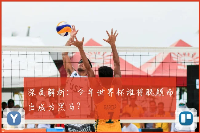 深度解析：今年世界杯谁将脱颖而出成为黑马？