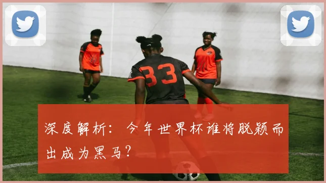 深度解析:今年世界杯谁将脱颖而出成为黑马?