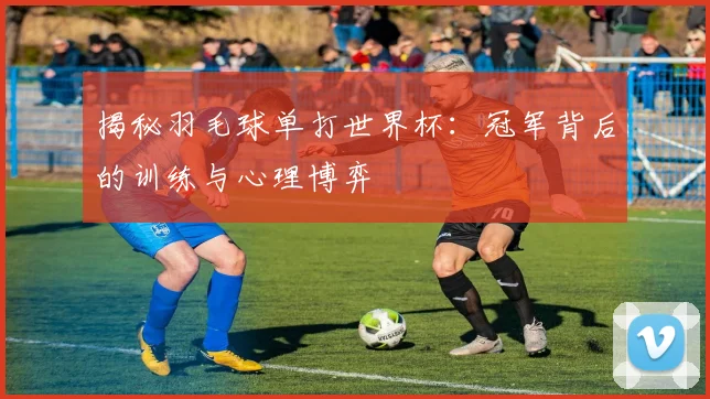 揭秘羽毛球单打世界杯:冠军背后的训练与心理博弈